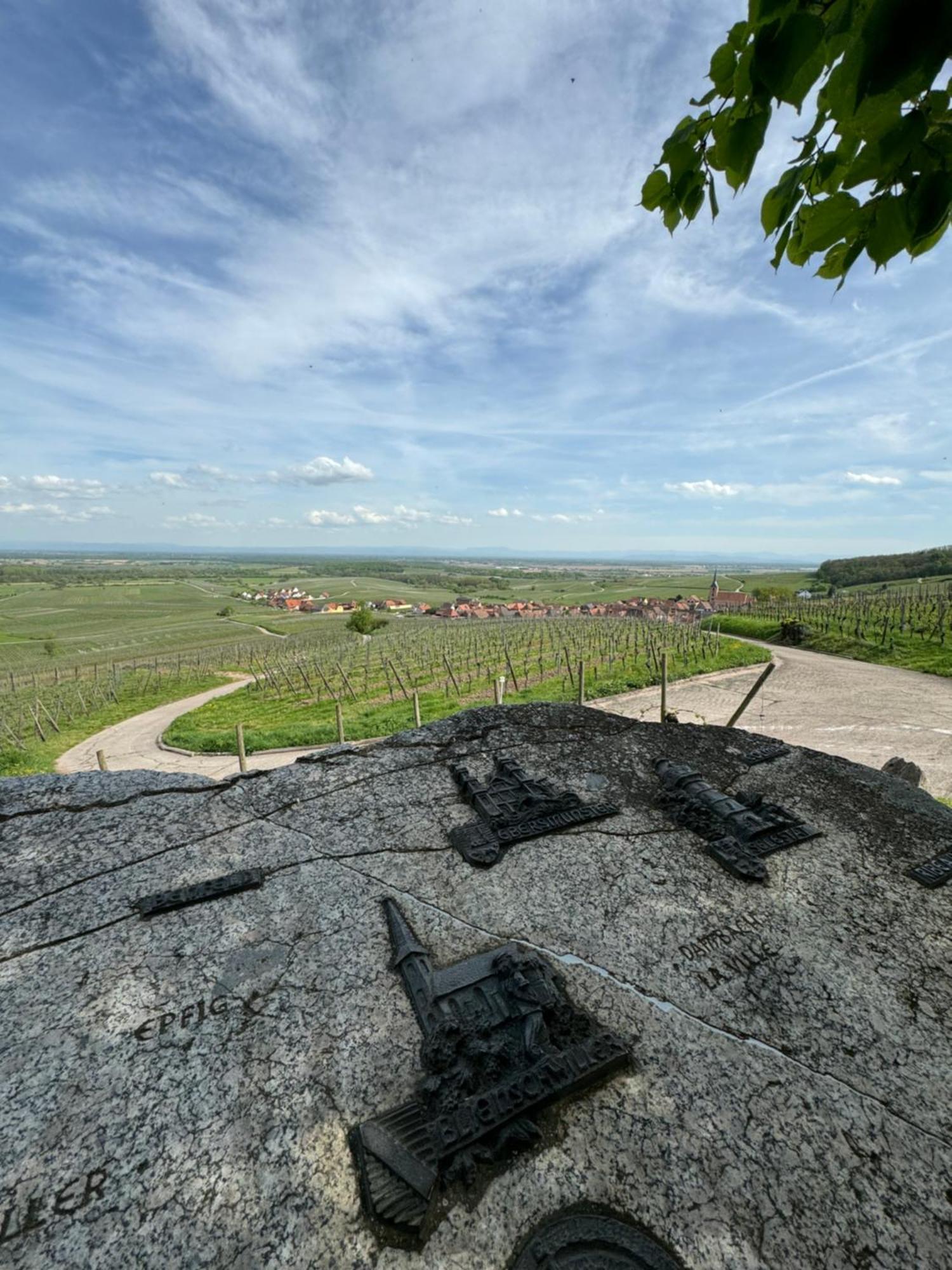 La Terasse Des Vignes - Maison 2 Chambres - 4 Personnes Бльеншвиллер Экстерьер фото